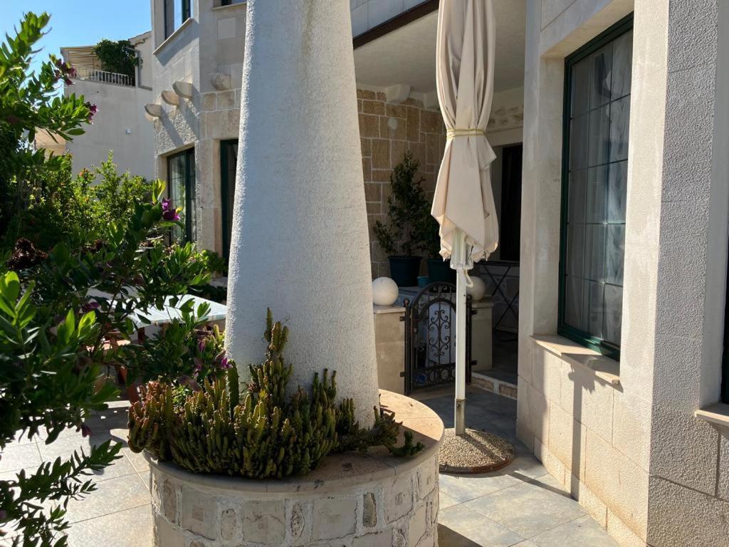 Apartments Villa Domus Marini フヴァル 部屋 写真
